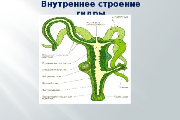 Клир блэк спрут bs2webs top